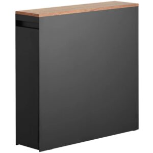 YAMAZAKI Černý kovový výsuvný organizér na toaletu Tower 14 x 56 cm